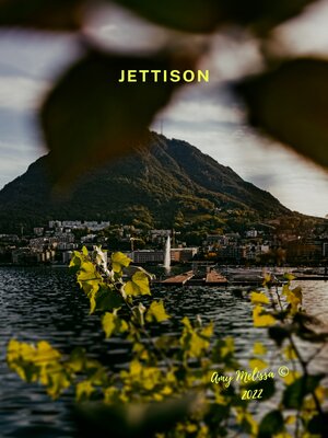 cover image of Jettison